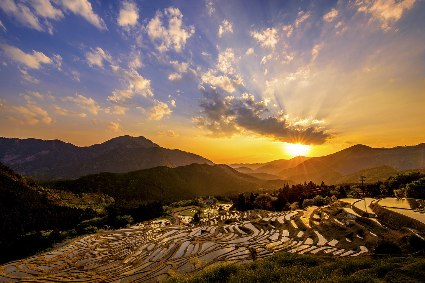 丸山千枚田